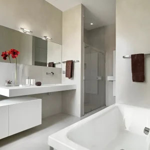 interiors-of-the-modern-bathroom-2025-01-09-15-08-50-utc